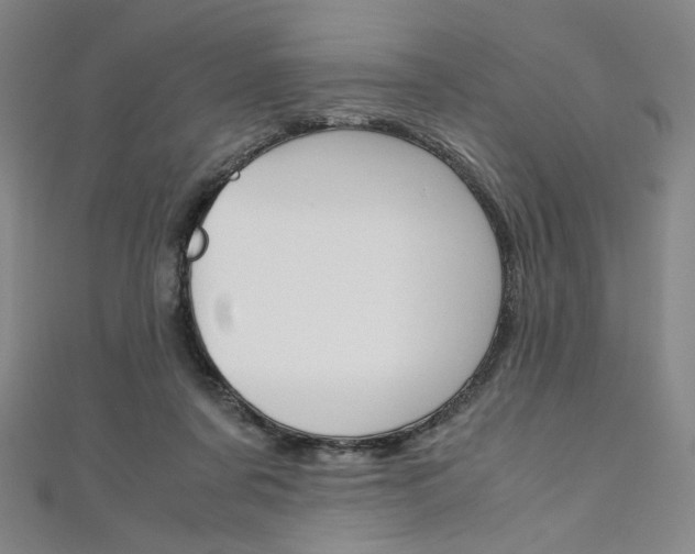 X0000110970311200906191116