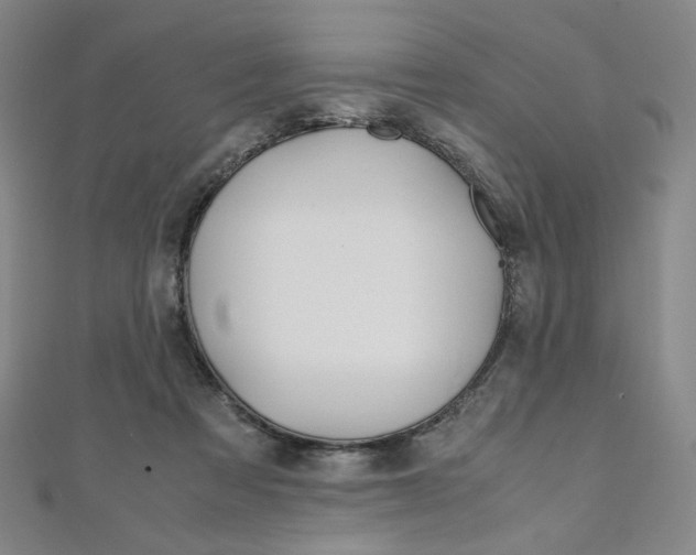 X0000110970313200906191116