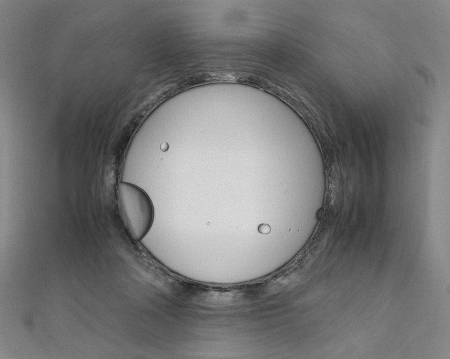 X0000110970314200906191116