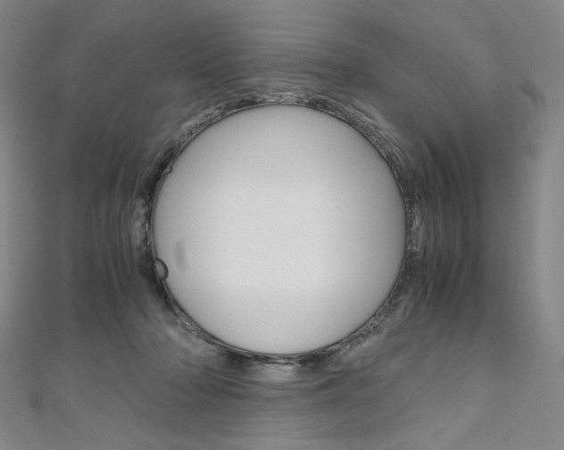 X0000110970318200906191116
