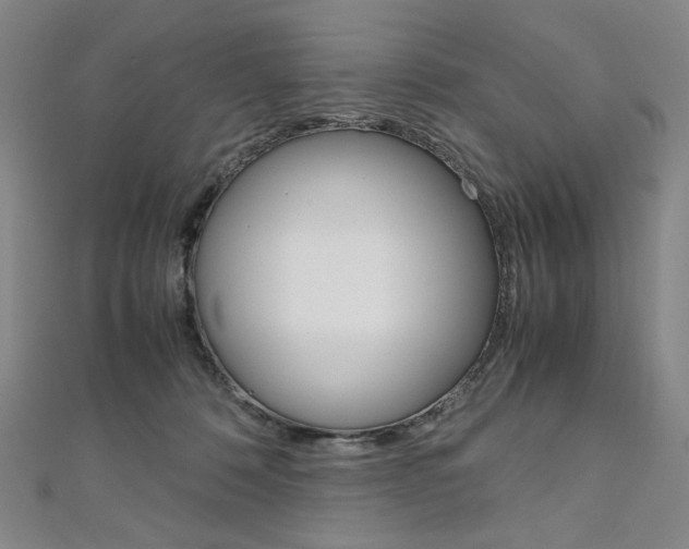 X0000110970320200906191116