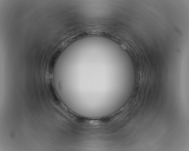X0000110970324200906191116