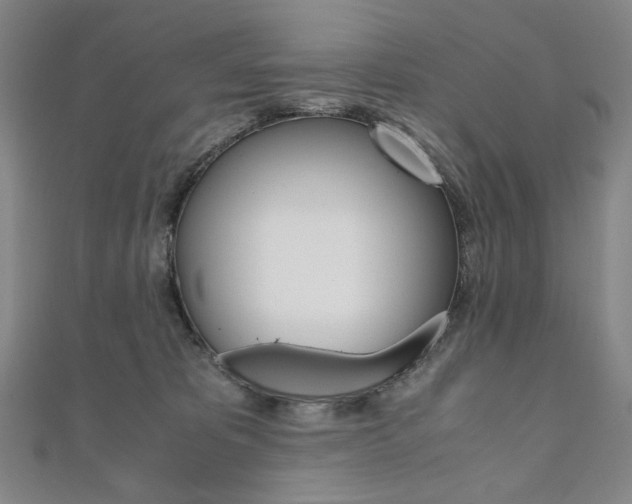 X0000110970325200906191116
