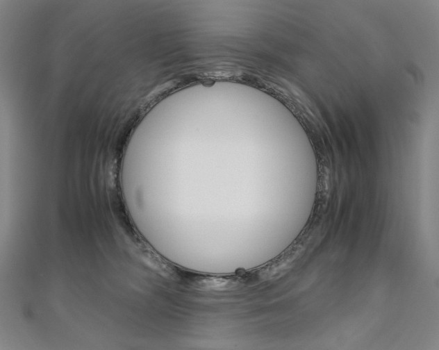 X0000110970326200906191116