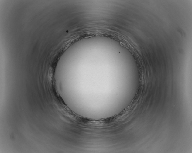 X0000110970328200906191116