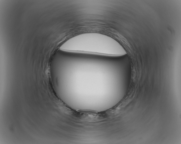 X0000110970329200906191116