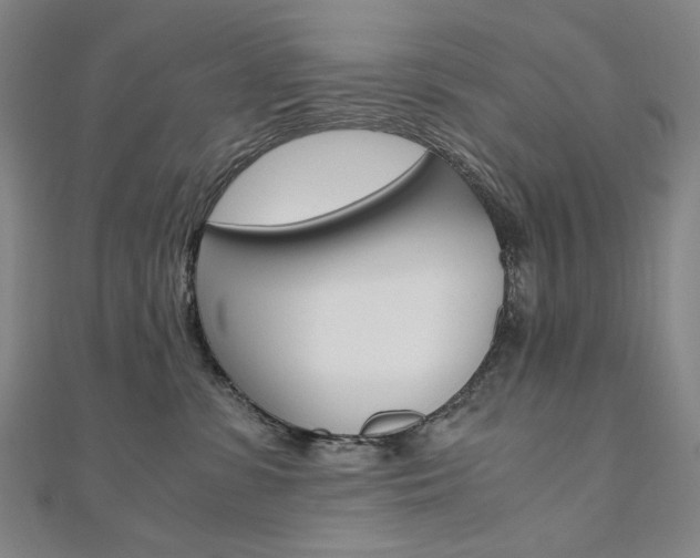 X0000110970331200906191116