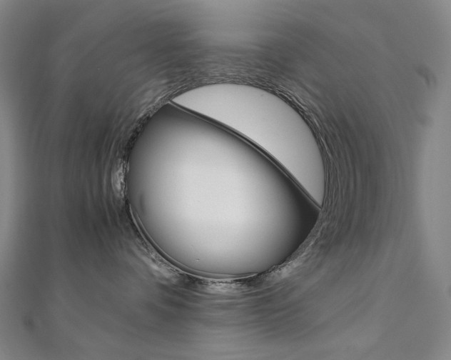 X0000110970336200906191116