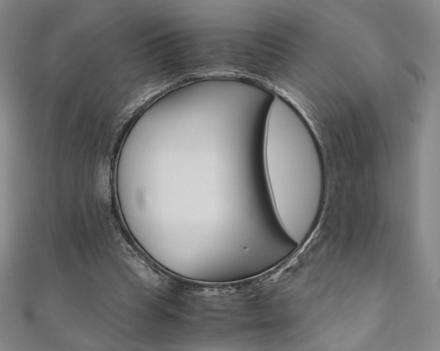 X0000110970345200906191115