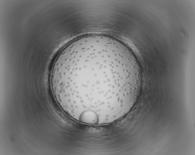 X0000110970346200906191115