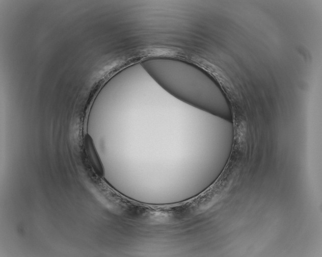 X0000110970352200906191115