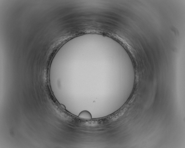 X0000110970353200906191115