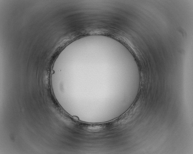 X0000110970357200906191115