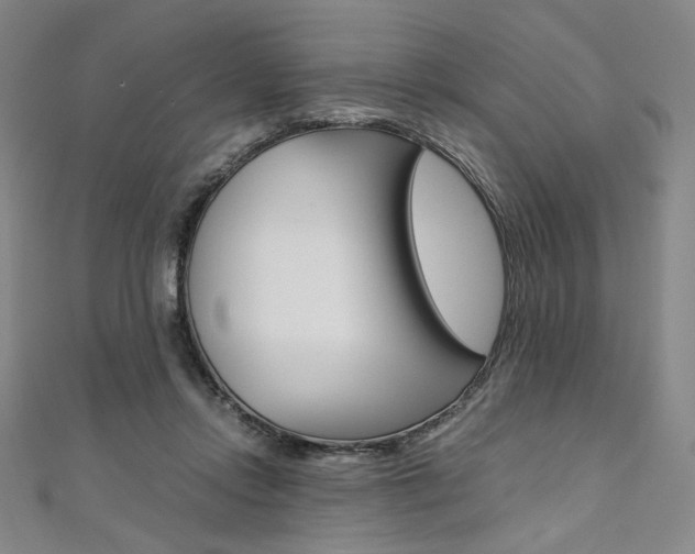 X0000110970358200906191116