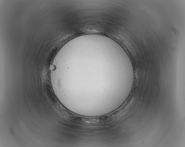 X0000110970359200906191116