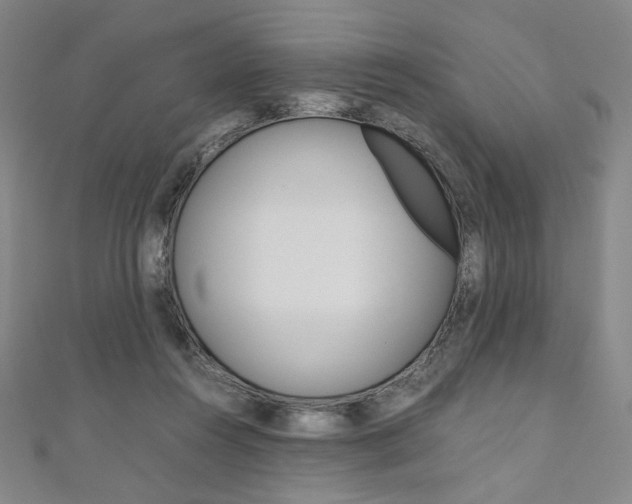 X0000110970360200906191116