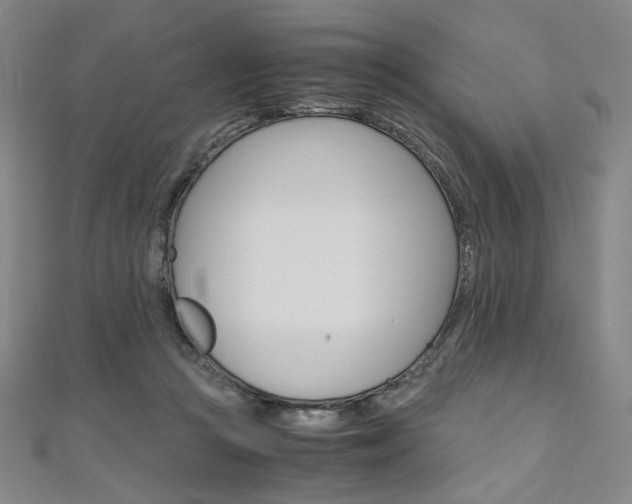 X0000110970361200906191116