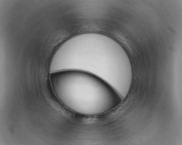 X0000110970362200906191116