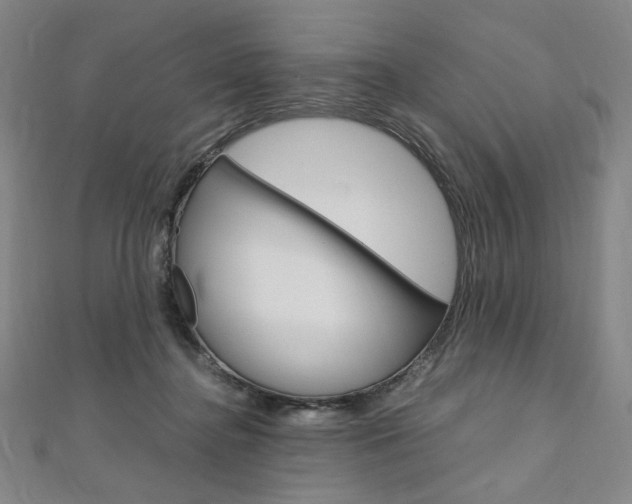 X0000110970364200906191116