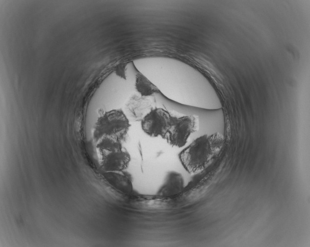 X0000110970365200906191116