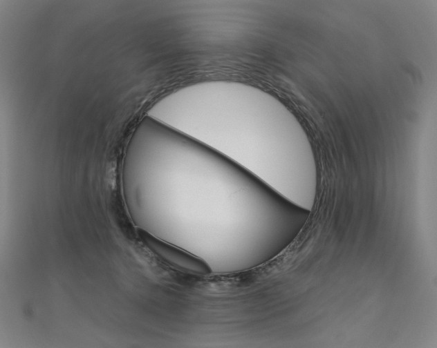 X0000110970368200906191116