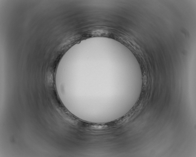 X0000110970375200906191116