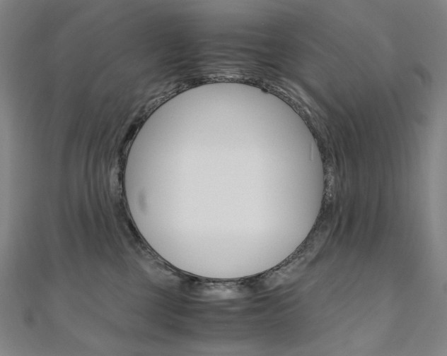 X0000110970377200906191116