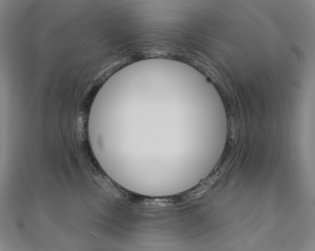 X0000110970378200906191116