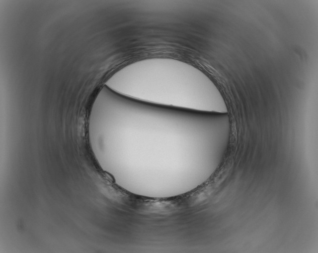 X0000110970379200906191116