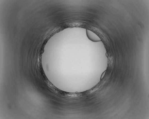 X0000110970381200906191116