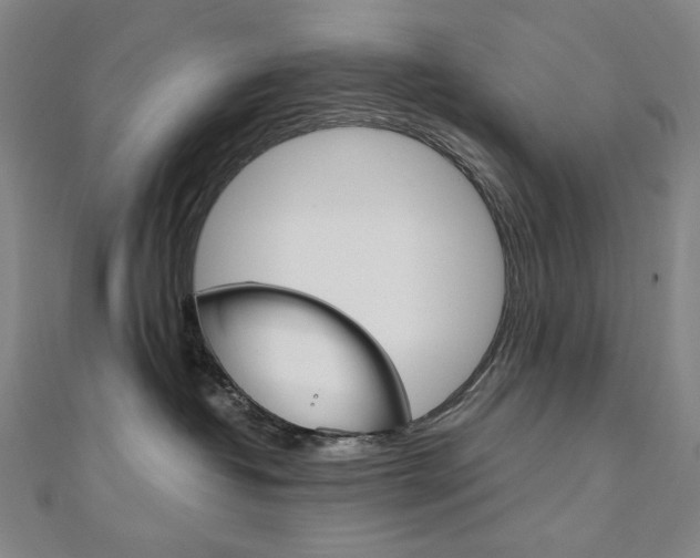 X0000110970382200906191116