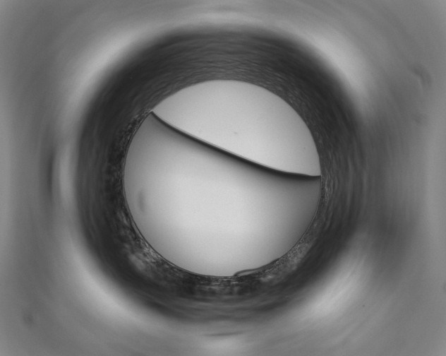 X0000110970383200906191116