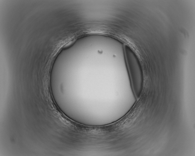 X0000110970385200906191115