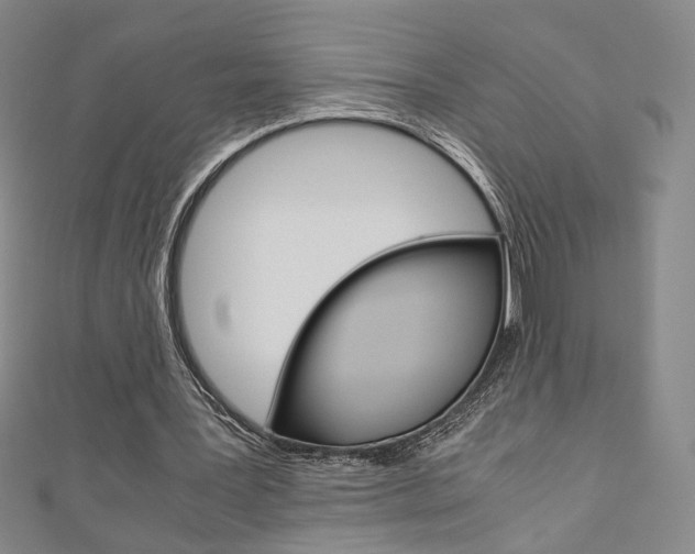X0000110970387200906191115