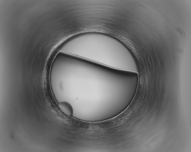 X0000110970388200906191115