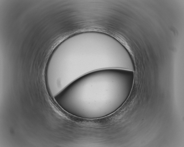X0000110970389200906191115