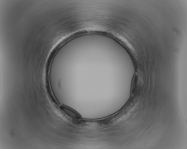 X0000110970391200906191115