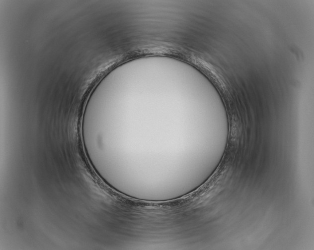 X0000110970394200906191115