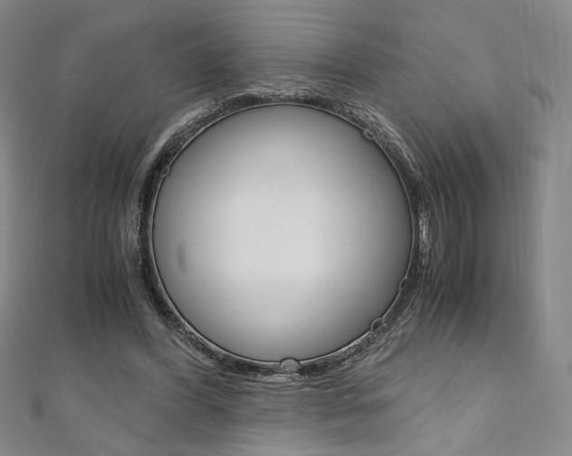 X0000110970396200906191115