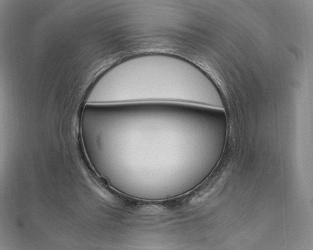 X0000110970397200906191115