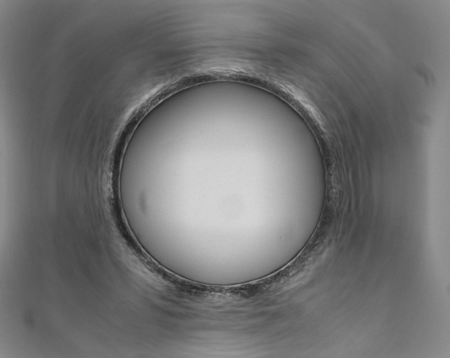 X0000110970399200906191115