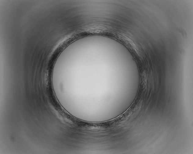 X0000110970400200906191115