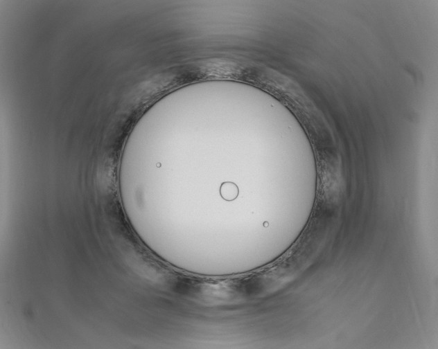 X0000110970411200906191115