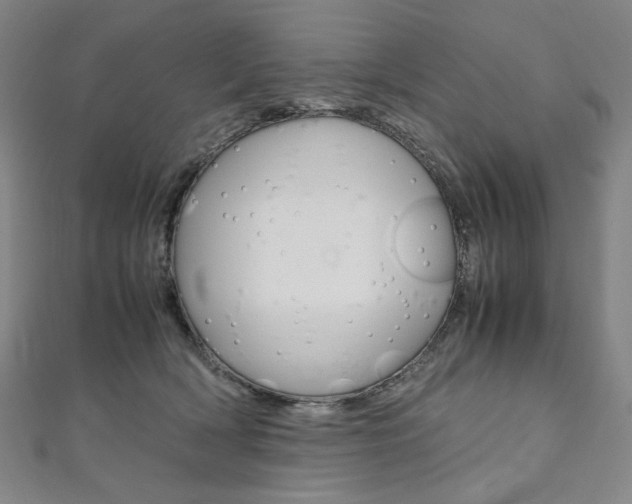 X0000110970418200906191115