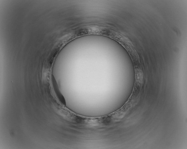 X0000110970419200906191115