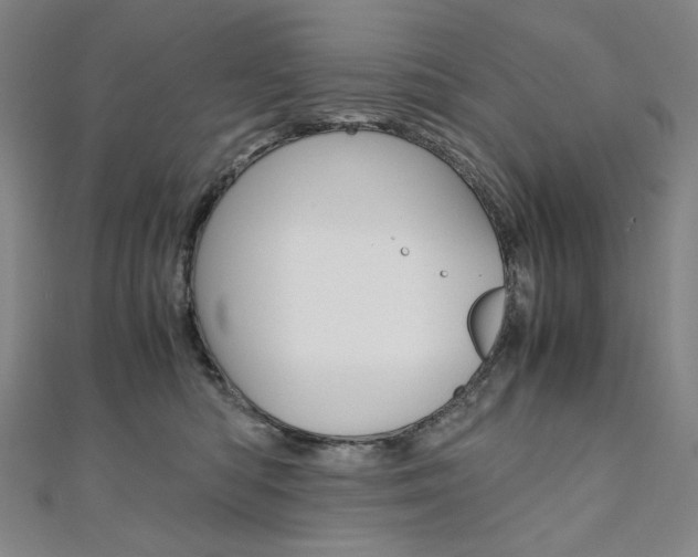 X0000110970422200906191115