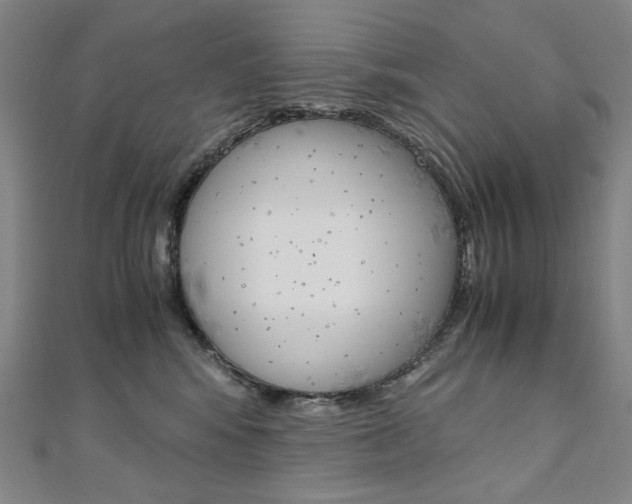 X0000110970424200906191115