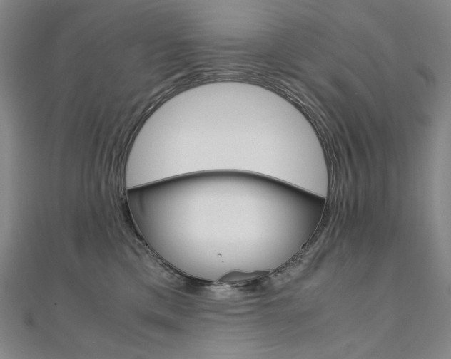 X0000110970425200906191115