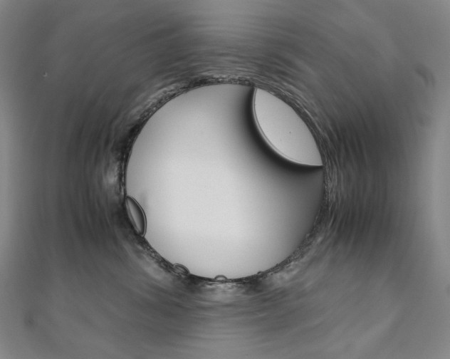 X0000110970428200906191115