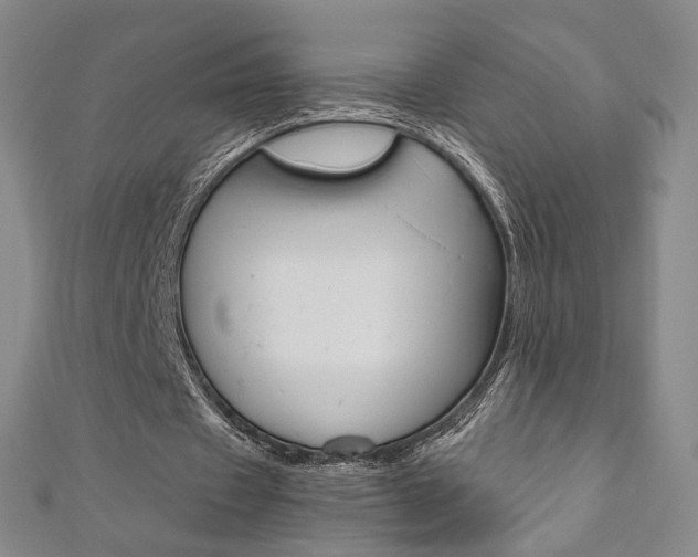 X0000110970433200906191114